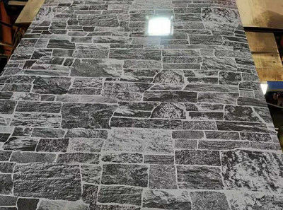 0.2 mm Placa de aço impressa de qualidade superior para uso industrial